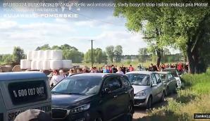 [VIDEO] Setki wolontariuszy, ślady bosych stóp i silna reakcja psa zaginionego Piotra Nowarkiewicza!