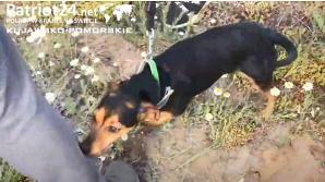 [VIDEO] Setki wolontariuszy, ślady bosych stóp i silna reakcja psa zaginionego Piotra Nowarkiewicza!