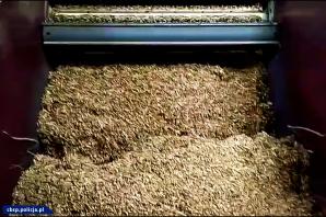 [VIDEO] Cios w przestępczość akcyzową - zlikwidowana fabryka papierosów. Zatrzymano również obywateli Ukrainy i Białorusi.