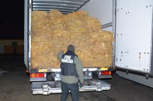 [VIDEO] Zatrzymano kolejnych członków zorganizowanej grupy przestępczej. Sprowadzali tytoń i papierosy z Czech i Białorusi