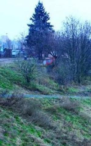 [VIDEO] Rutkowski: Ewa Tylman zrzucona ze skarpy? Przecież tam są dwa spadki! Dlaczego nie było wizji lokalnej z udziałem Czarnej Postaci? Kim jest uciekająca osoba?