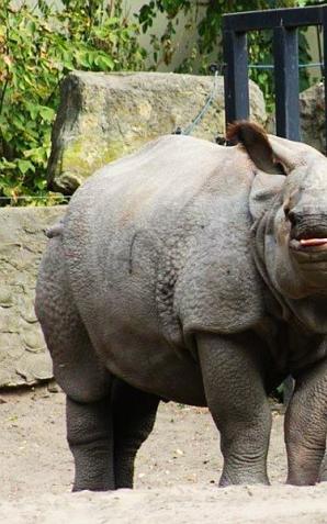 Warszawa: Pożegnanie Bysia