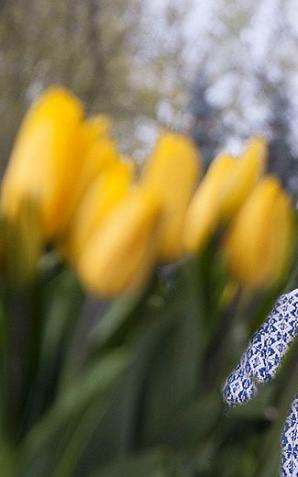 [VIDEO] Wielkanocne życzenia od premier Beaty Szydło