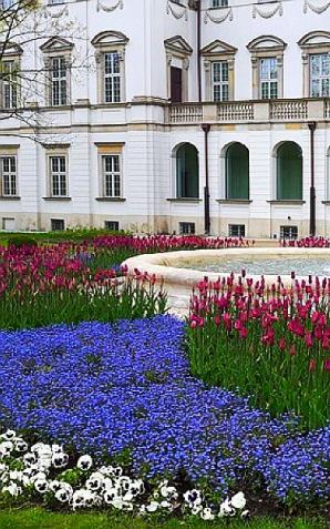 Wiosna w Ogrodzie Krasińskich