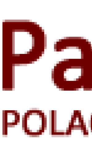 Wiceszef MSZ Bartosz Cichocki na konferencji o przeciwdziałaniu migracji z Basenu Jeziora Czad