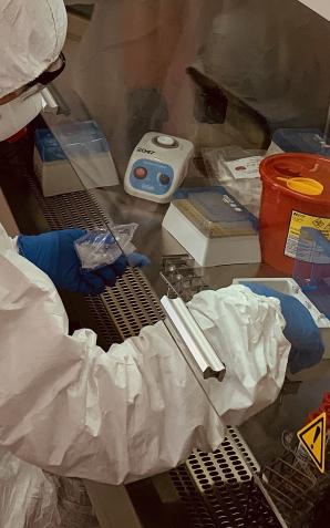 Ministerstwo Zdrowia: 4 ofiara Koronawirusa w Polsce