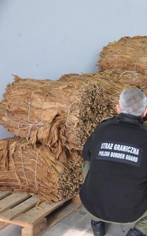 [VIDEO] Zabezpieczono tonę tytoniu