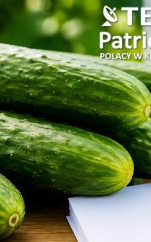 200 tysięcy złotych za ogórki i miesiące oczekiwania na pieniądze. Kontrahent Green Group nadal czeka na zapłatę