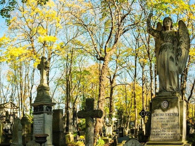 Wszystkich Świętych w Warszawie – informator drogowy